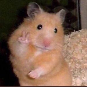 💕😇Free gift with any purchase!💕😇